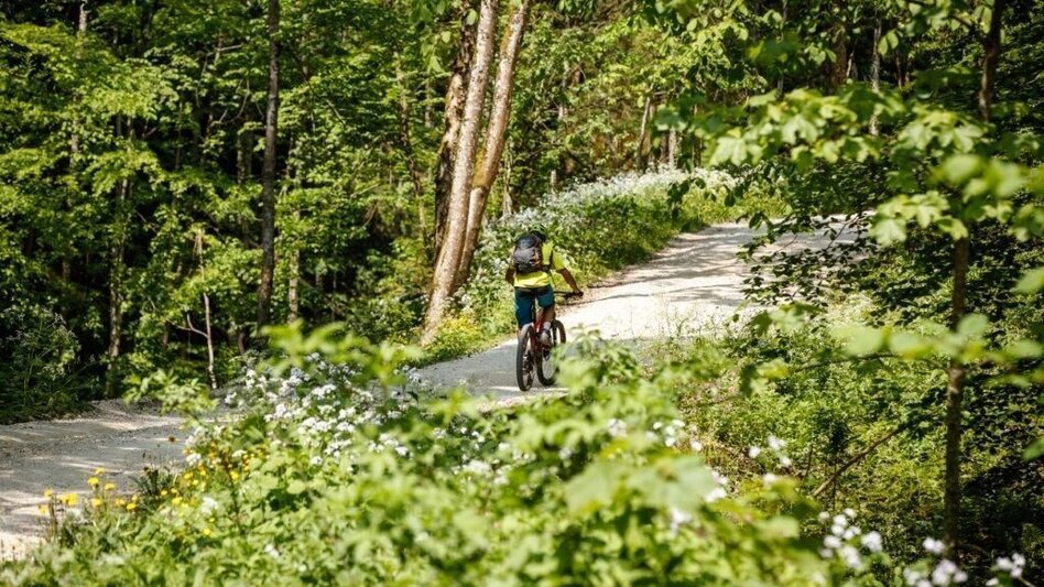 Mountain Biking Vom Ennstal ins Steyrtal - Touren-Impression #2.4 | © TV Gesäuse