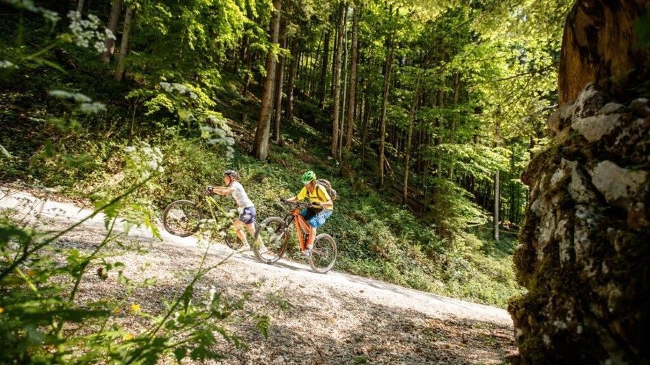 Mountain Biking Vom Ennstal ins Steyrtal - Touren-Impression #2.5 | © TV Gesäuse