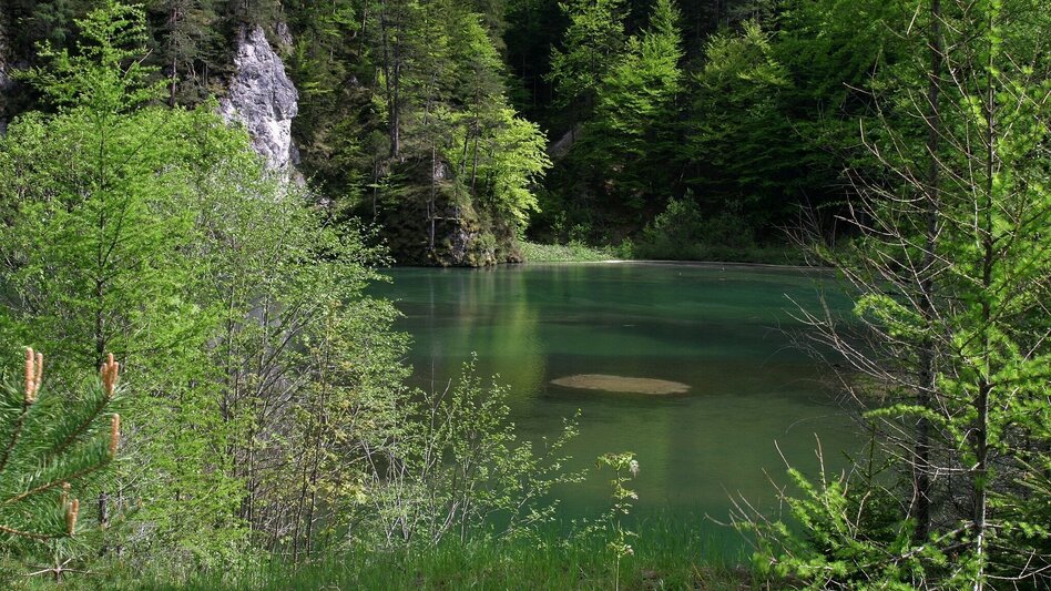 Theme path The Schauberger Triftanlage Circular Trail - Touren-Impression #2.1 | © TV Hochsteiermark