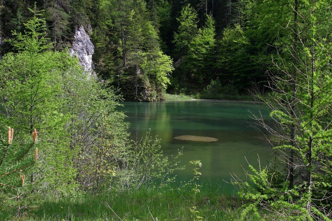 Theme path The Schauberger Triftanlage Circular Trail - Touren-Impression #1 | © TV Hochsteiermark