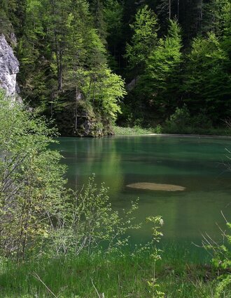 Der Stausee im Naturpark Mürzer Oberland | Daniela Paul | © TV Hochsteiermark