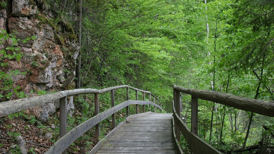 Theme path The Schauberger Triftanlage Circular Trail - Touren-Impression #2.2 | © TV Hochsteiermark