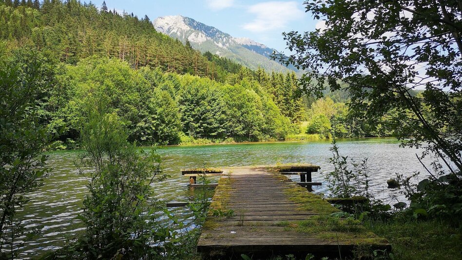 Theme path The Schauberger Triftanlage Circular Trail - Touren-Impression #2.6 | © TV Hochsteiermark