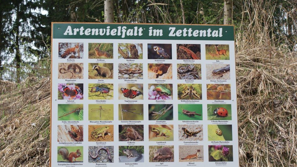 Nordic Walking Silberseeweg in der Köllach Au - Touren-Impression #2.4 | © Gemeinde Proleb