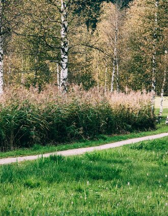 Am Schilfgürtel entlang. | Armin Walcher | © Erlebnisregion Schladming-Dachstein