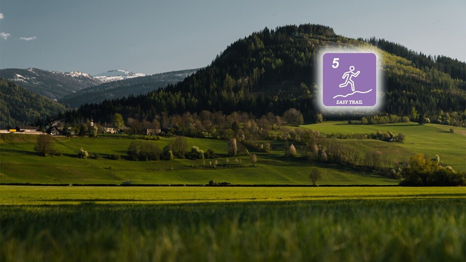 Trail Running Kulm-Summit-Trail - Touren-Impression #2.1 | © Erlebnisregion Schladming-Dachstein