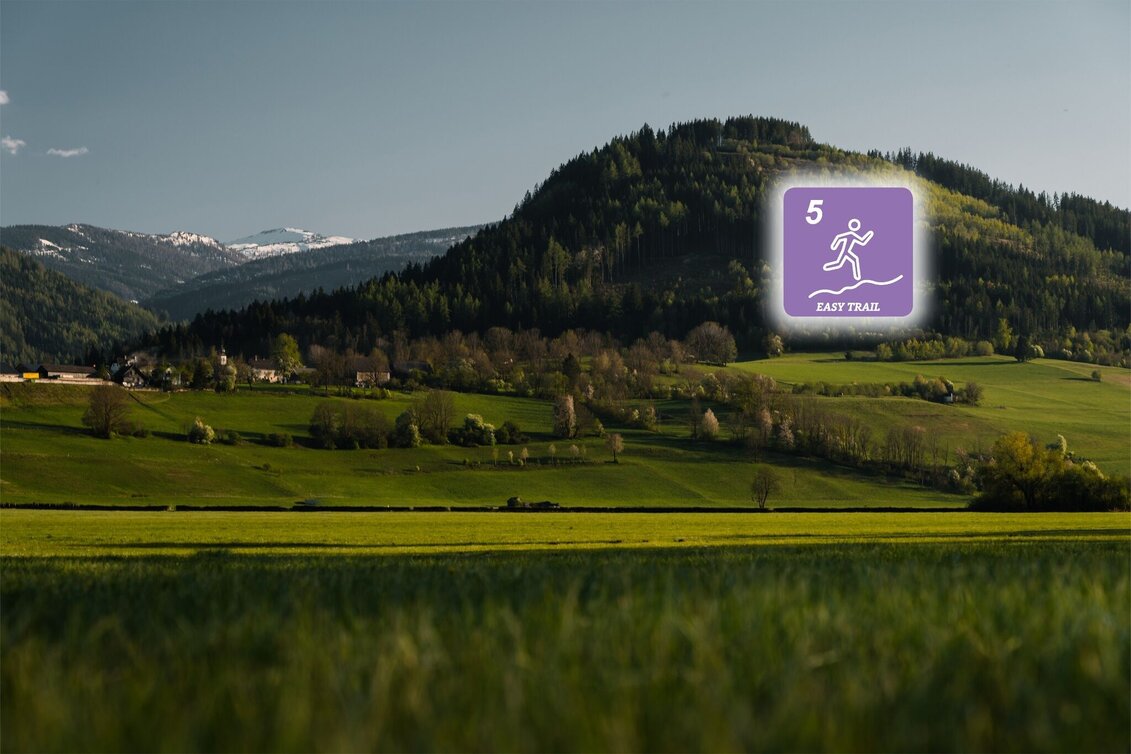 Trail Running Kulm-Summit-Trail - Touren-Impression #1 | © Erlebnisregion Schladming-Dachstein