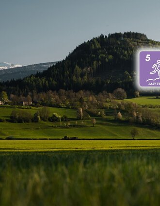 Der Kulm von seiner "sanften" der Stainacher Ansicht | Christoph Lukas | © Erlebnisregion Schladming-Dachstein