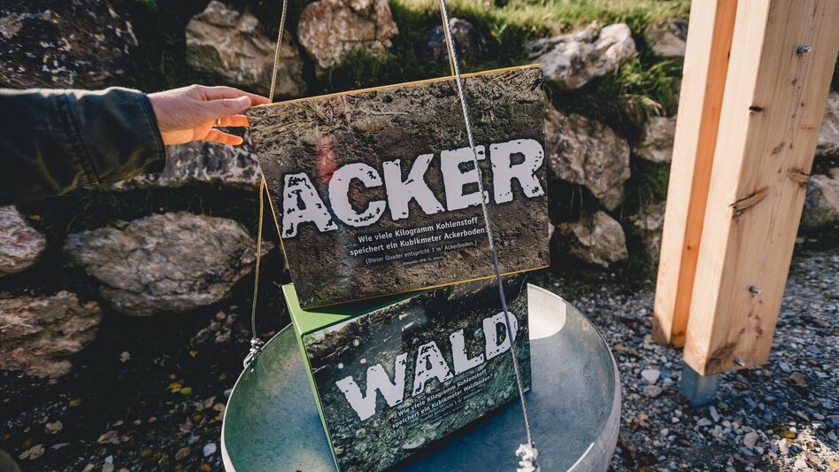 Theme path Themed trail "klimawandeln" - Touren-Impression #2.10 | © TV Hochsteiermark