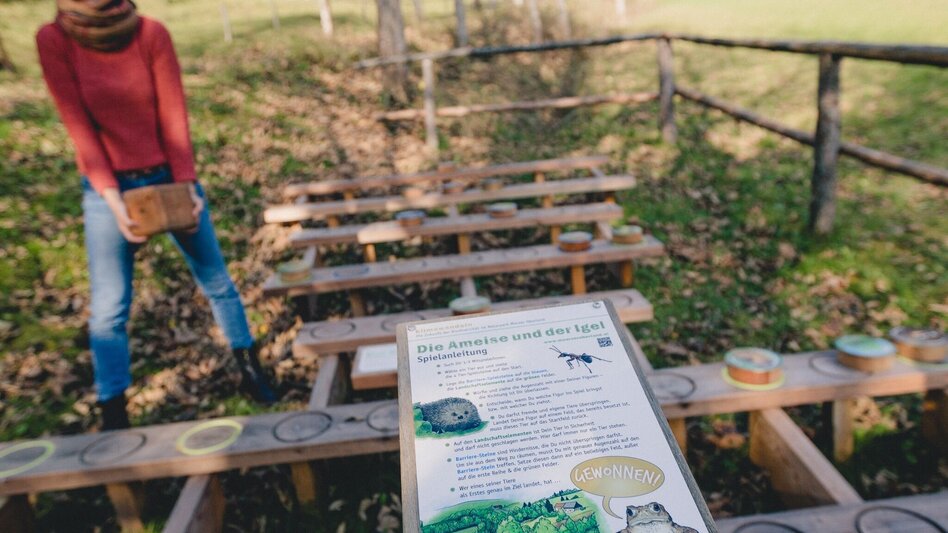 Theme path Themed trail "klimawandeln" - Touren-Impression #2.11 | © Naturpark Mürzer Oberland