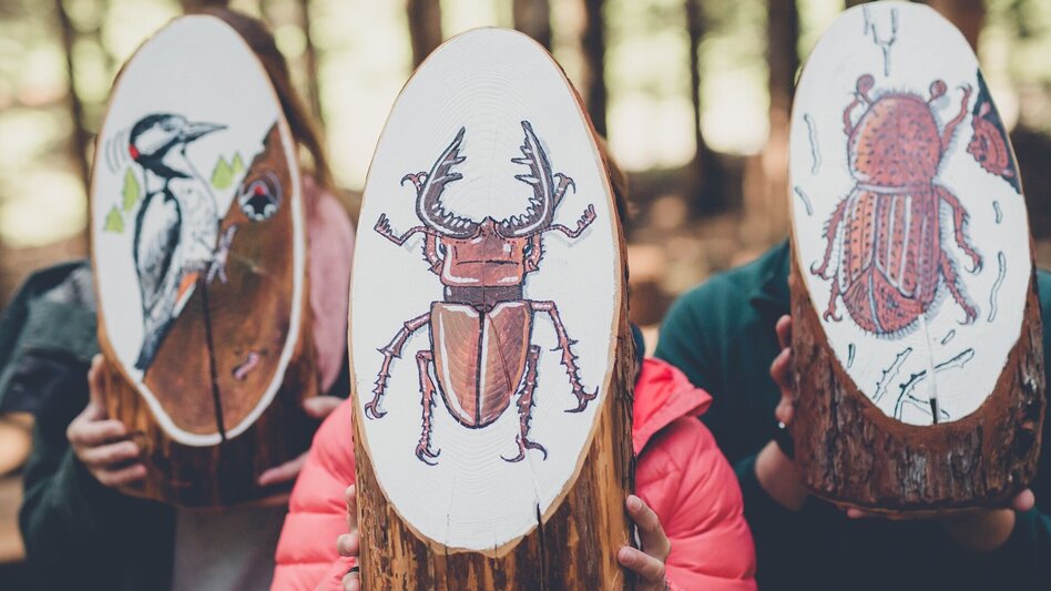 Theme path Themed trail "klimawandeln" - Touren-Impression #2.15 | © Naturpark Mürzer Oberland