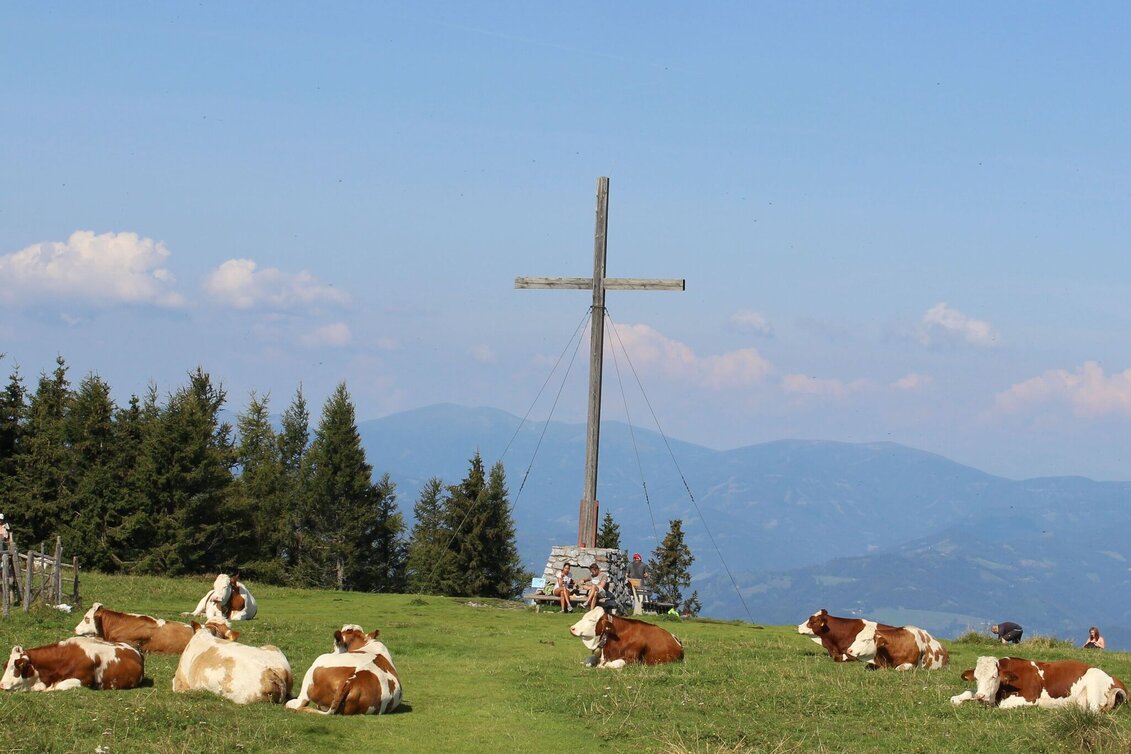 Wanderung 1. Etappe: Weg der 100.000 Schritte, Arzberg - Neudorf b. Passail - Touren-Impression #1 | © Oststeiermark Tourismus