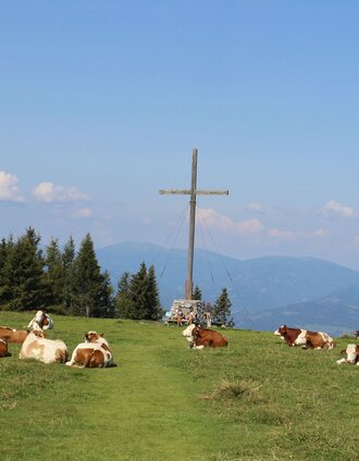 Schöckl-Gipfelkreuz | Christine Pollhammer | © Oststeiermark Tourismus