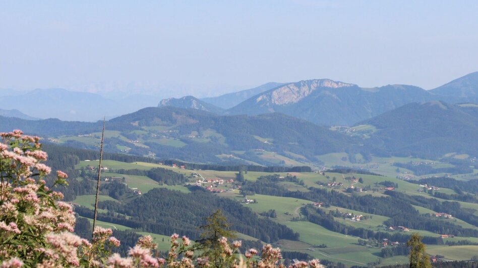 Wanderung 1. Etappe: Weg der 100.000 Schritte, Arzberg - Neudorf b. Passail - Touren-Impression #2.8 | © Oststeiermark Tourismus
