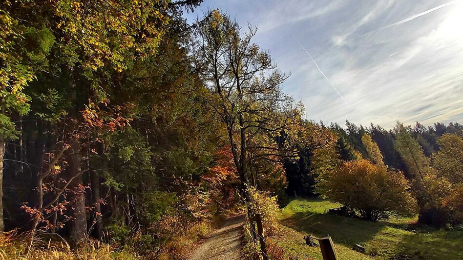 Wanderung 2. Etappe: Weg der 100.000 Schritte, Neudorf b. Passail - Nechnitz - Touren-Impression #2.7 | © Oststeiermark Tourismus