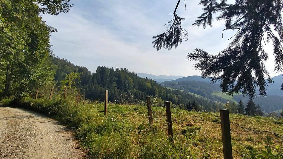 Wanderung 2. Etappe: Weg der 100.000 Schritte, Neudorf b. Passail - Nechnitz - Touren-Impression #2.5 | © Oststeiermark Tourismus