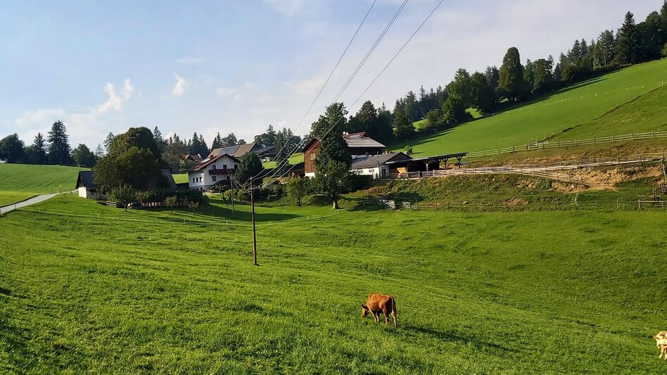 Wanderung 2. Etappe: Weg der 100.000 Schritte, Neudorf b. Passail - Nechnitz - Touren-Impression #2.9 | © Oststeiermark Tourismus