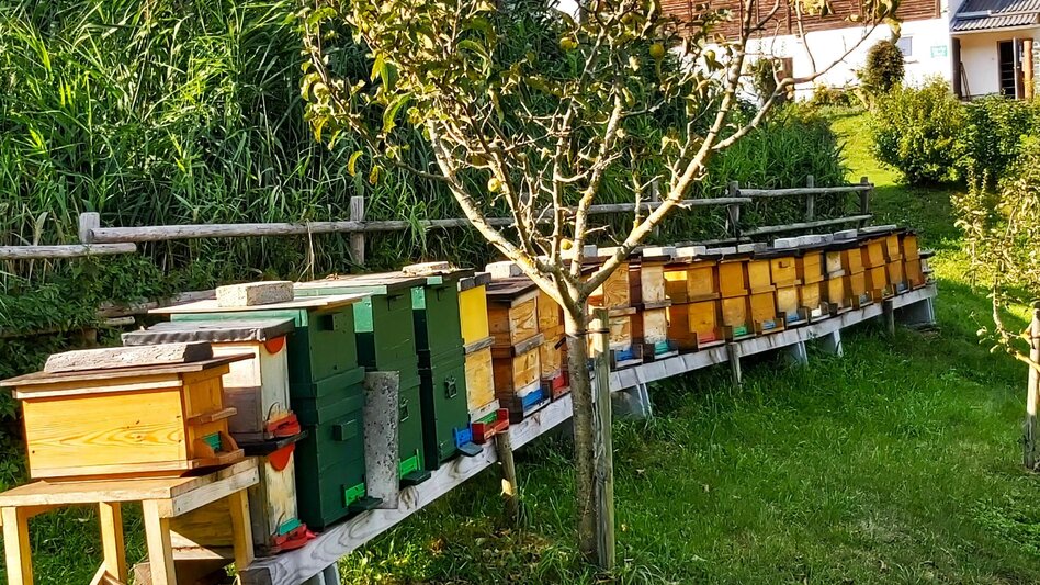 Wanderung 2. Etappe: Weg der 100.000 Schritte, Neudorf b. Passail - Nechnitz - Touren-Impression #2.8 | © Oststeiermark Tourismus