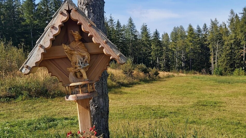 Hiking route 3. Stage: Path of the 100.000 steps, Nechnitz - Sommeralm - Touren-Impression #2.8 | © Oststeiermark Tourismus