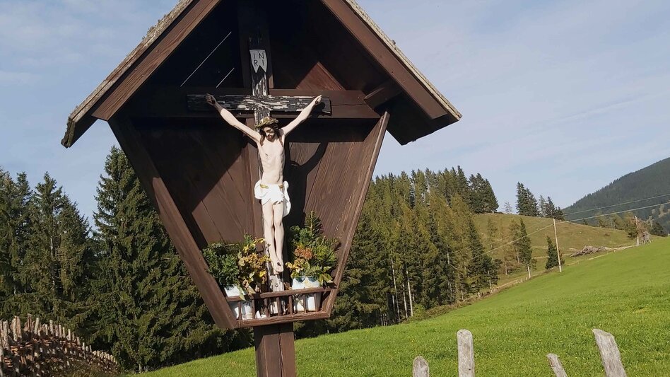 Hiking route 3. Stage: Path of the 100.000 steps, Nechnitz - Sommeralm - Touren-Impression #2.12 | © Oststeiermark Tourismus