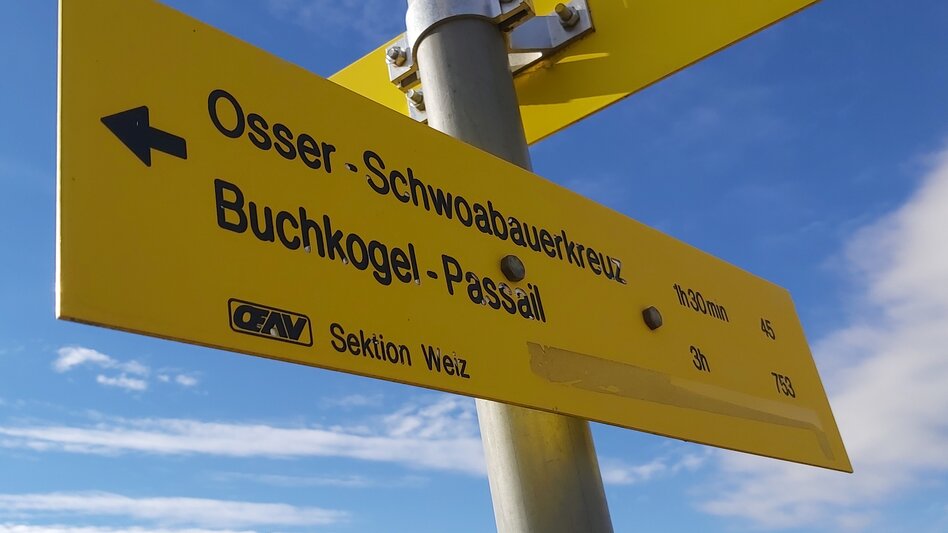 Hiking route 3. Stage: Path of the 100.000 steps, Nechnitz - Sommeralm - Touren-Impression #2.13 | © Oststeiermark Tourismus