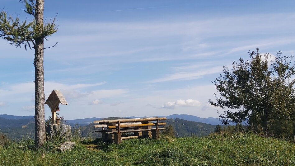 Hiking route 3. Stage: Path of the 100.000 steps, Nechnitz - Sommeralm - Touren-Impression #2.1 | © Oststeiermark Tourismus