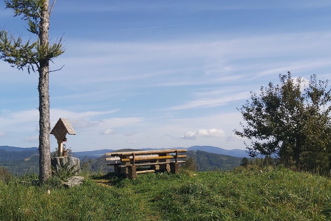 Hiking route 3. Stage: Path of the 100.000 steps, Nechnitz - Sommeralm - Touren-Impression #1 | © Oststeiermark Tourismus