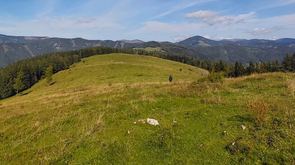 Hiking route 3. Stage: Path of the 100.000 steps, Nechnitz - Sommeralm - Touren-Impression #2.7 | © Oststeiermark Tourismus