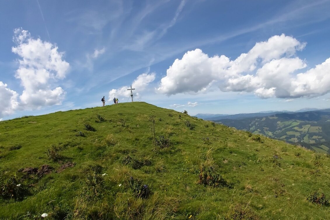 Wanderung 4. Etappe: Weg der 100.000 Schritte, Sommeralm - St. Kathrein - Touren-Impression #1 | © Oststeiermark Tourismus