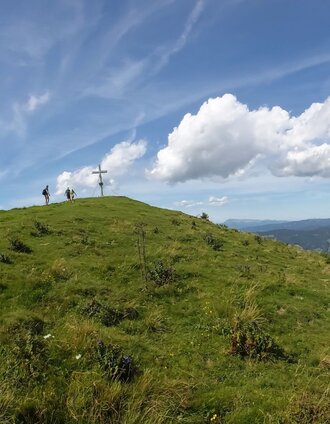 Plankogel Sommeralm_Naturpark Almenland_Oststeiermark | Christine Pollhammer | © Oststeiermark Tourismus