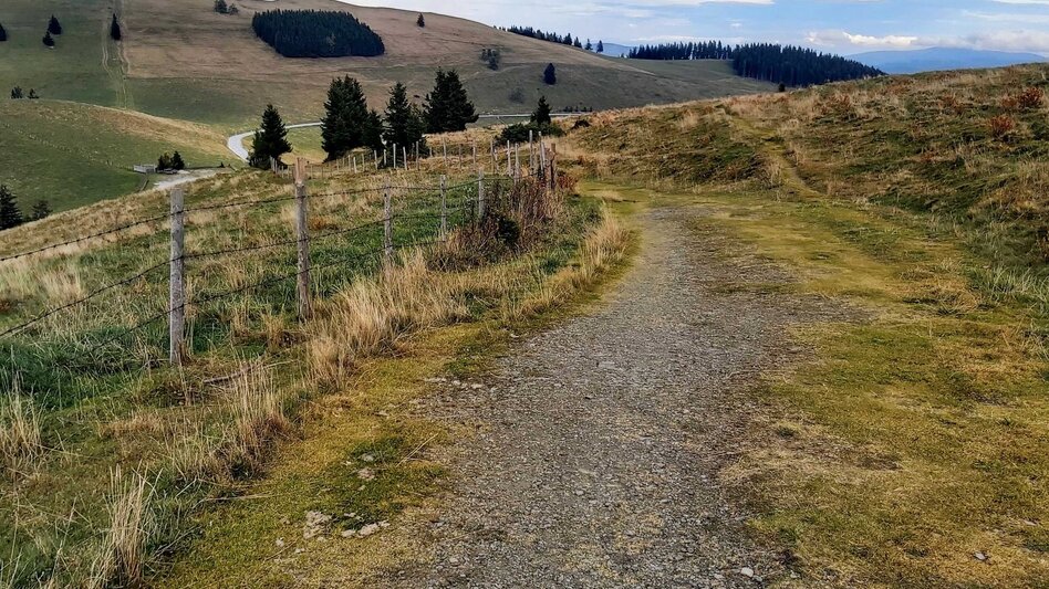 Wanderung 4. Etappe: Weg der 100.000 Schritte, Sommeralm - St. Kathrein - Touren-Impression #2.6 | © Oststeiermark Tourismus
