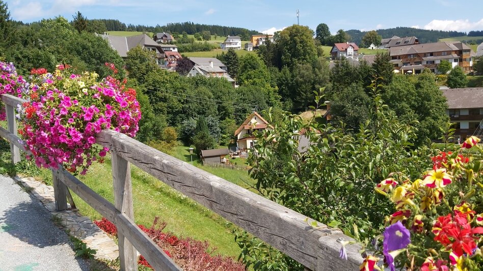 Wanderung 4. Etappe: Weg der 100.000 Schritte, Sommeralm - St. Kathrein - Touren-Impression #2.16 | © Oststeiermark Tourismus