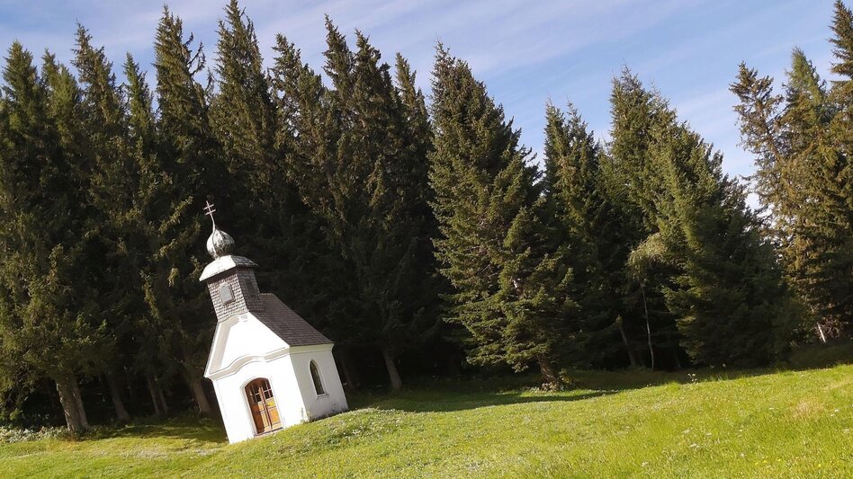 Wanderung 4. Etappe: Weg der 100.000 Schritte, Sommeralm - St. Kathrein - Touren-Impression #2.3 | © Oststeiermark Tourismus