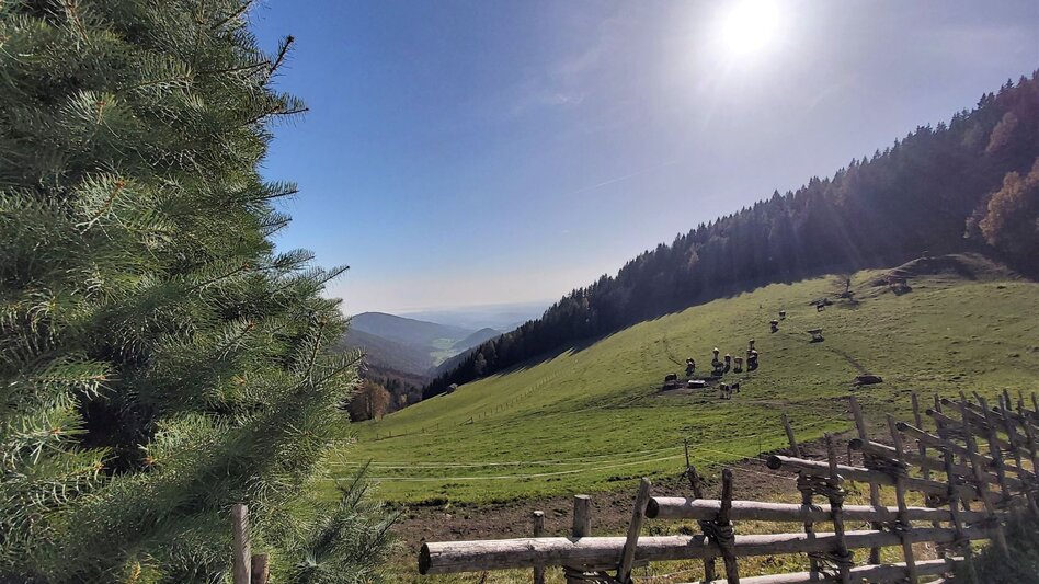 Hiking route Stage 5: Path of 100,000 Steps, St. Kathrein - Kreuzwirt Inn - Touren-Impression #2.7 | © Oststeiermark Tourismus