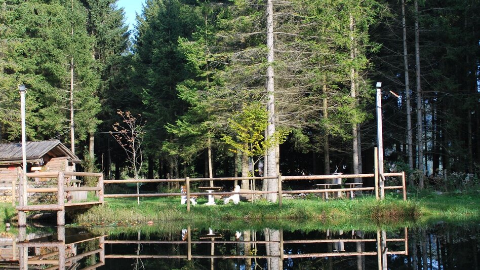 Hiking route Stage 5: Path of 100,000 Steps, St. Kathrein - Kreuzwirt Inn - Touren-Impression #2.4 | © Oststeiermark Tourismus