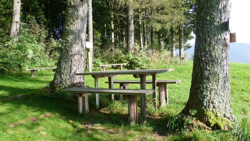 Hiking route Stage 5: Path of 100,000 Steps, St. Kathrein - Kreuzwirt Inn - Touren-Impression #2.2 | © Oststeiermark Tourismus