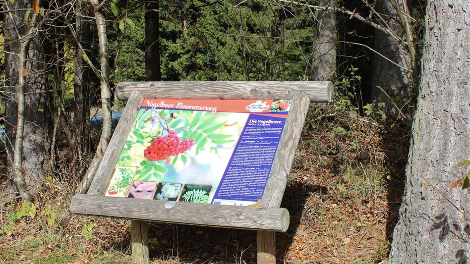 Hiking route Stage 5: Path of 100,000 Steps, St. Kathrein - Kreuzwirt Inn - Touren-Impression #2.3 | © Oststeiermark Tourismus