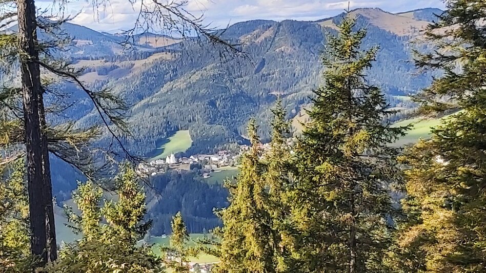 Hiking route Stage 5: Path of 100,000 Steps, St. Kathrein - Kreuzwirt Inn - Touren-Impression #2.12 | © Oststeiermark Tourismus