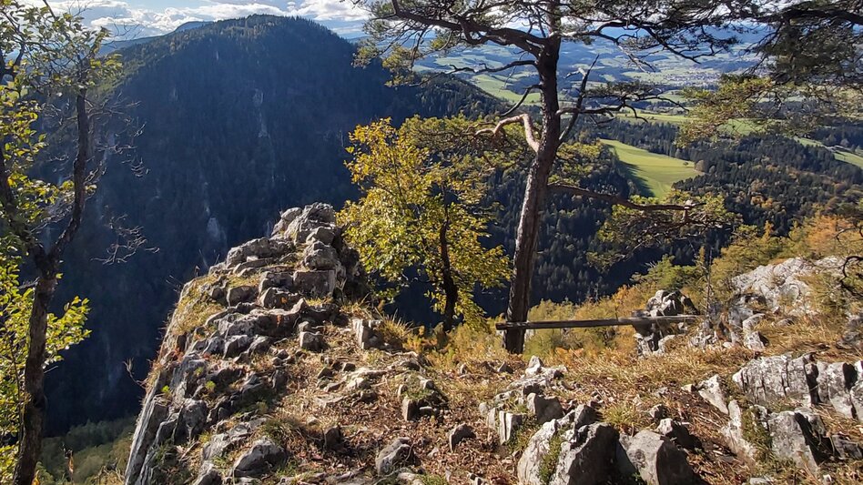 Hiking route Stage 5: Path of 100,000 Steps, St. Kathrein - Kreuzwirt Inn - Touren-Impression #2.11 | © Oststeiermark Tourismus