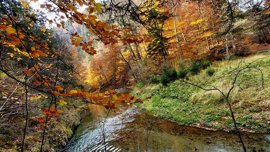 Hiking route Stage 6: Path of 100,000 Steps, GH Kreuzwirt - Arzberg - Touren-Impression #2.1 | © Oststeiermark Tourismus