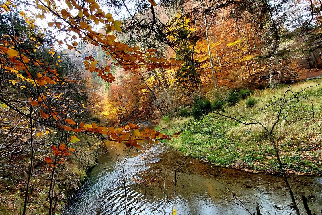 Hiking route Stage 6: Path of 100,000 Steps, GH Kreuzwirt - Arzberg - Touren-Impression #1 | © Oststeiermark Tourismus