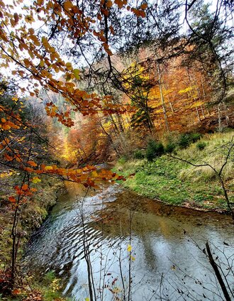 Raabklamm_Naturpark Almenland_Oststeiermark | Christine Pollhammer | © Oststeiermark Tourismus