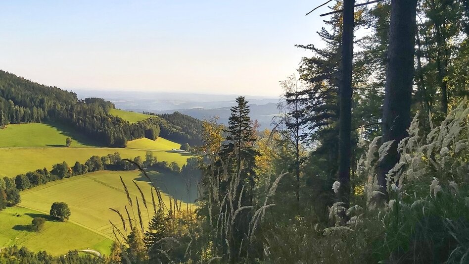 Hiking route Stage 6: Path of 100,000 Steps, GH Kreuzwirt - Arzberg - Touren-Impression #2.2 | © Oststeiermark Tourismus