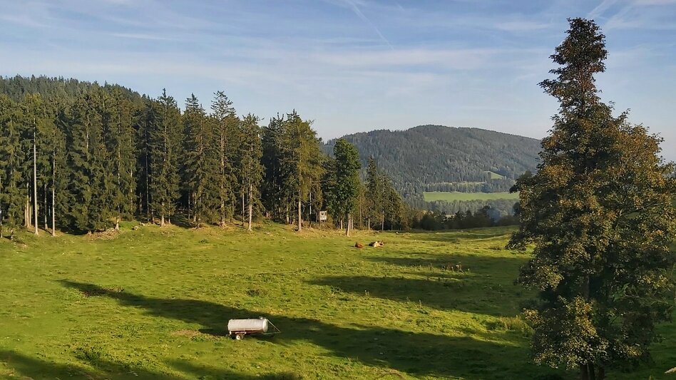 Hiking route Stage 6: Path of 100,000 Steps, GH Kreuzwirt - Arzberg - Touren-Impression #2.5 | © Oststeiermark Tourismus