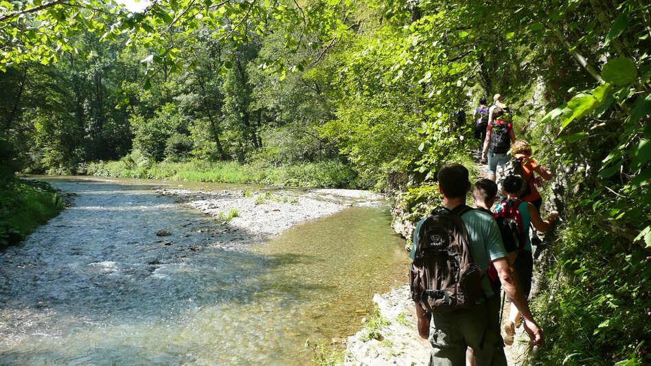 Hiking route Stage 6: Path of 100,000 Steps, GH Kreuzwirt - Arzberg - Touren-Impression #2.10 | © Oststeiermark Tourismus