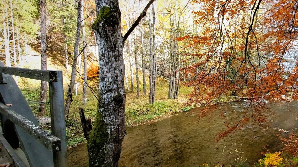 Hiking route Stage 6: Path of 100,000 Steps, GH Kreuzwirt - Arzberg - Touren-Impression #2.12 | © Oststeiermark Tourismus