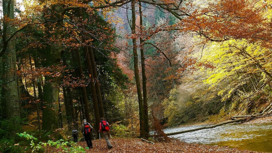 Hiking route Stage 6: Path of 100,000 Steps, GH Kreuzwirt - Arzberg - Touren-Impression #2.13 | © Oststeiermark Tourismus