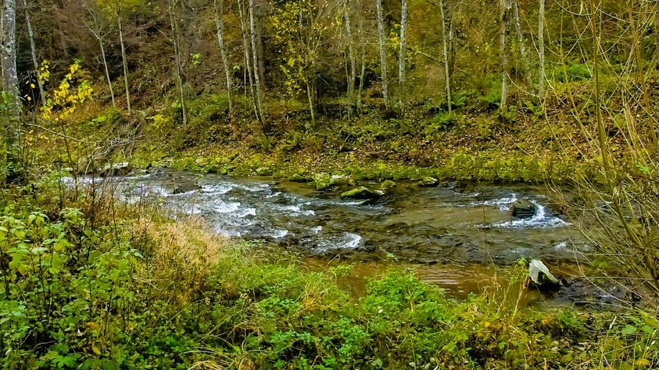 Hiking route Stage 6: Path of 100,000 Steps, GH Kreuzwirt - Arzberg - Touren-Impression #2.14 | © Oststeiermark Tourismus