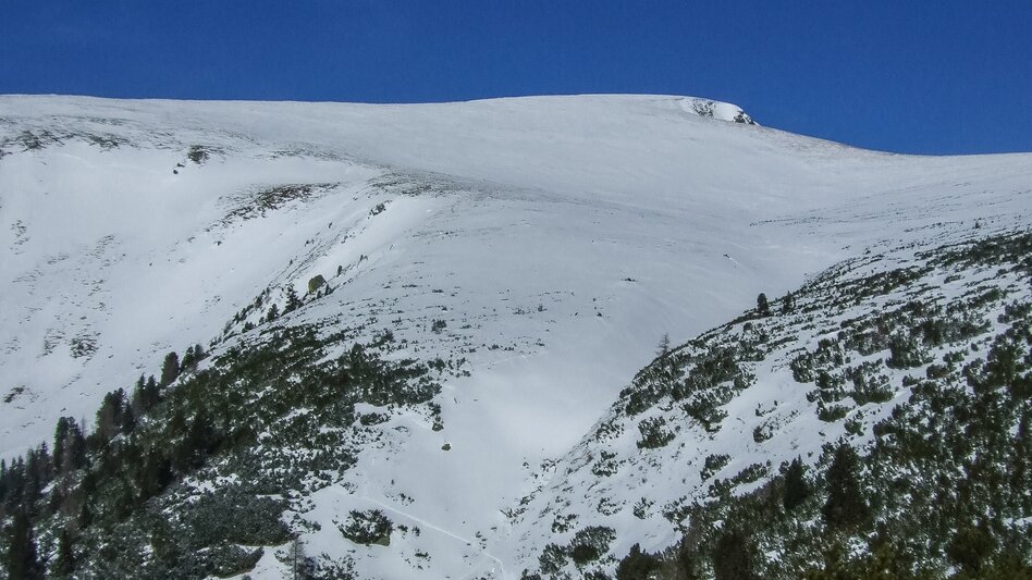Ski Touring Großer Ringkogel - Touren-Impression #2.3 | © Ulf Edlinger