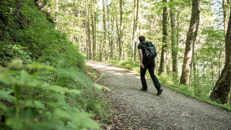 Hiking route From hut to hut in the National park Gesäuse Stage 05B Weidendom - Admonterhaus - Touren-Impression #2.4 | © TV Gesäuse